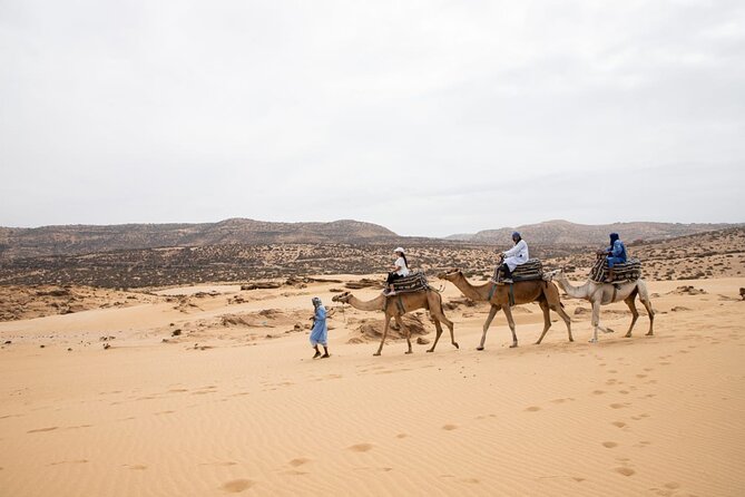 Agadir Sand Dunes and Camel Ride in Tifnit With Lunch - Experience the Camel Ride