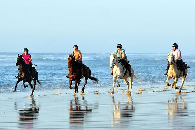 Agadir/Taghazout Horse Ride on the Beach
