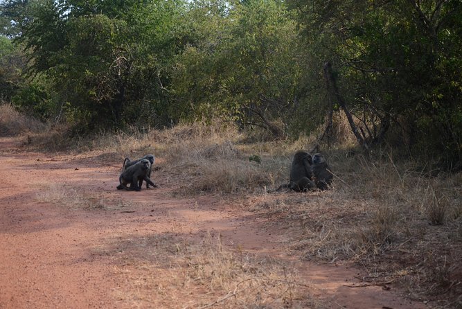 Akagera National Park