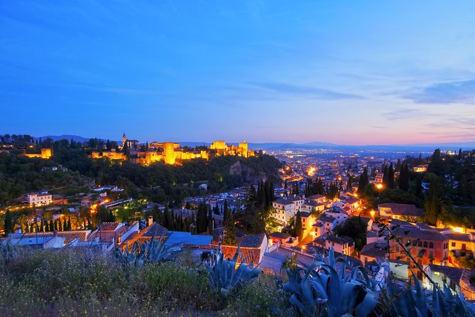 Albaicin and Sacromonte Private Tour