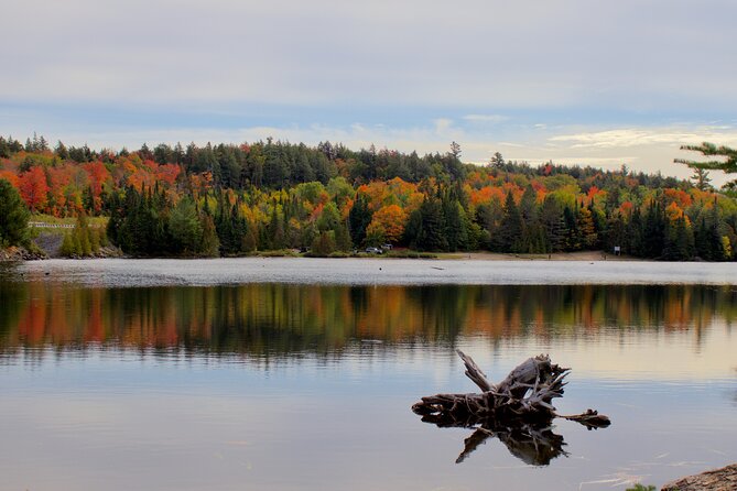 Algonquin Provincial Park Full Day Trip - Trip Overview