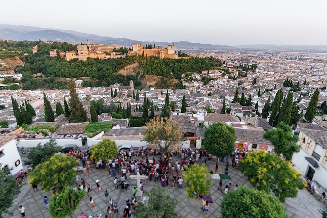 Alhambra and Albaicin Private Tour With Official Guide