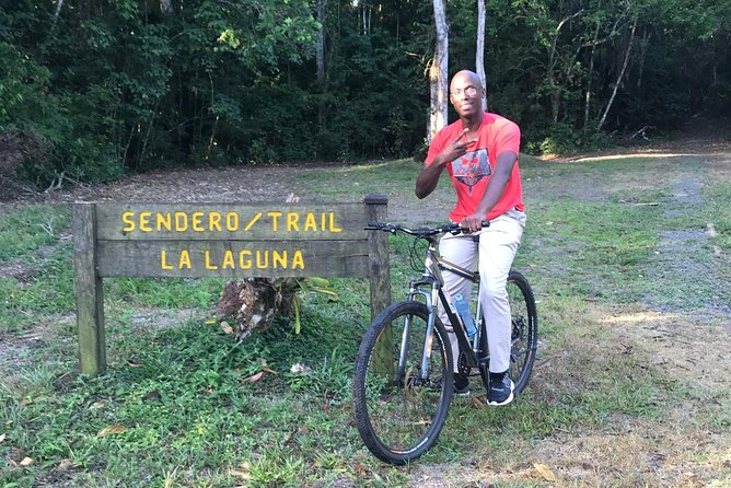 All Day 15 $ Bike