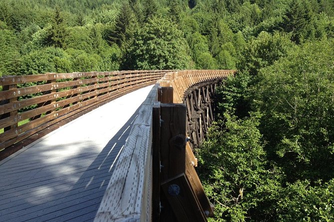 All Day Northern Oregon Wineries and Forest Bike Tour