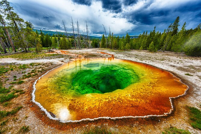 All-Day Tour of Yellowstone National Park