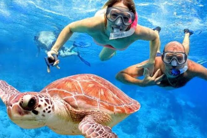 All Inclusive Bali Blue Lagoon Snorkeling With Lunch and Transport