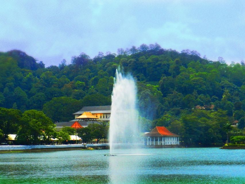 All Inclusive – Kandy and Pinnawala Private Full–Day Tour