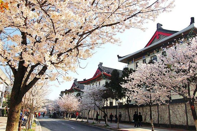 All Inclusive Nanjing City Private Day Tour With Tailor-Made Highlights