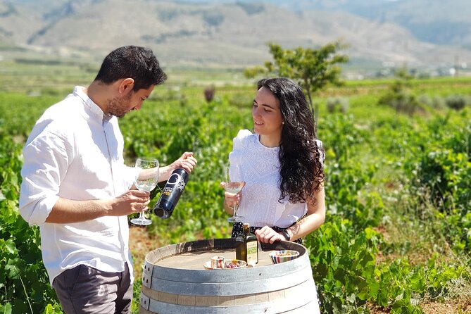 Almería Wine Tour and Tasting in English in Bio Winery