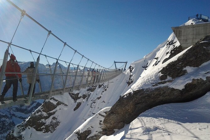 Alpine Majesty:Exclusive Private Tour to Mount Titlis From Basel