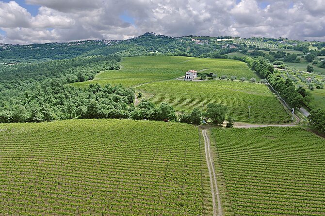 Alta Tuscia Ebike Tour With Visit to Antica Cantina Leonardi