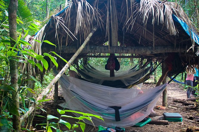 Amazon Survival Tour 4D/3N