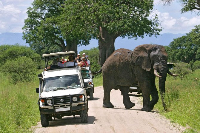 Amboseli National Park Full Day Guided Tour