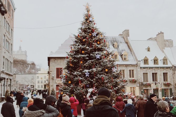 Amsterdam Christmas Tour With a Local Guide: Private & Custom