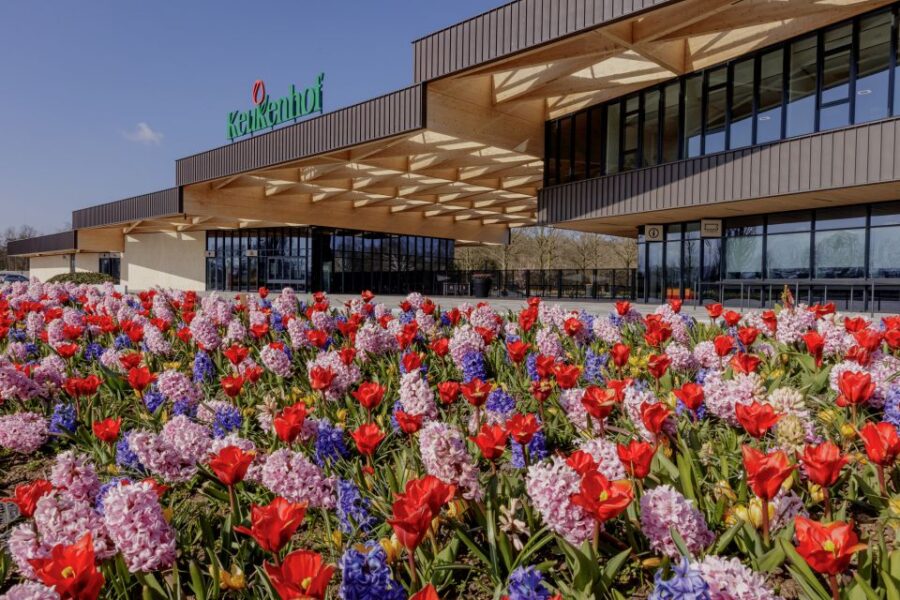 Amsterdam: Half-Day Flower Fields and Keukenhof Bicycle Tour - Tour Overview and Pricing