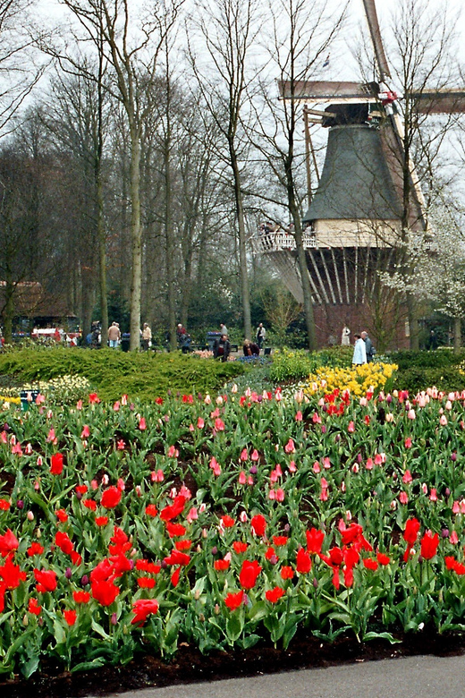 Amsterdam: Half-Day Keukenhof Guided Tour With Entrance