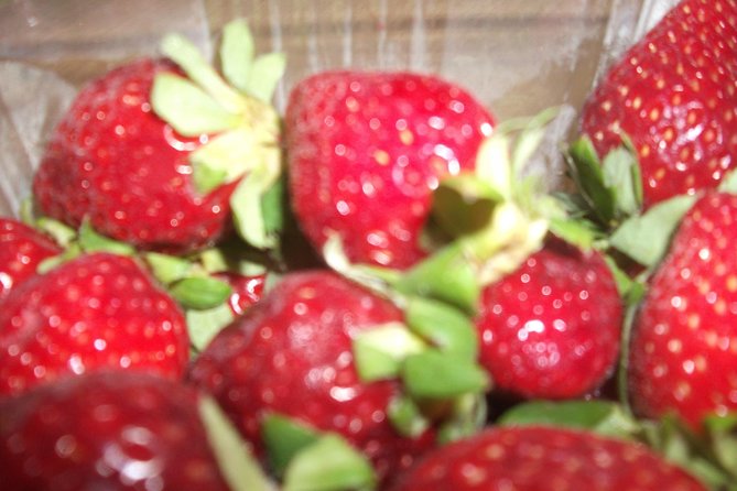 Ancient Greek Donuts Made With Fun - Loukoumades: A Taste of History