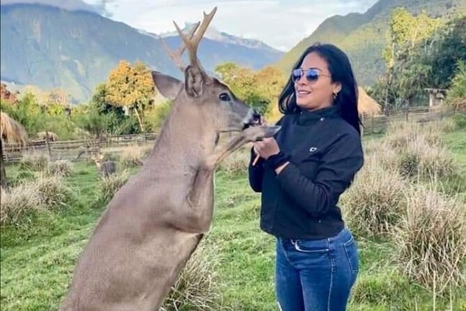 Animalpark | Theme Park | Tours | Naturally Fun - Exploring the Natural Wonders