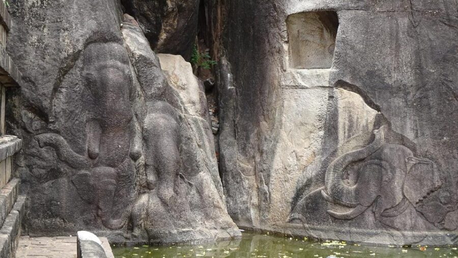 Anuradhapura & Aukana: Private Day Tour From Colombo