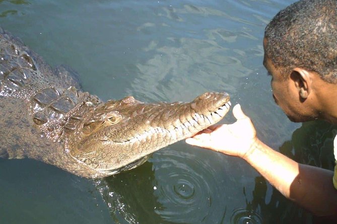 Appleton Estate Rum and Black River Safari Private Tour