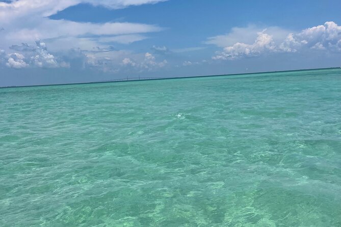 Aqua Sol Adventures-4.5 Hour Private Snorkeling,Dolphin,Shelling