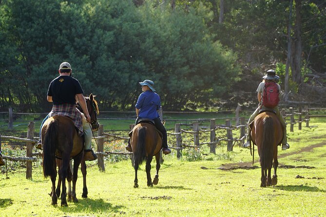 Archaeological Horseback Riding off the Tourist Routes in Rapa Nui