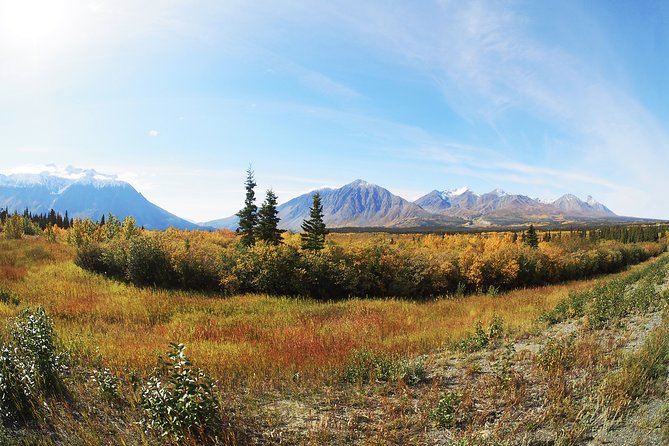 Arctic Day: Kluane National Park Tour | Full Day