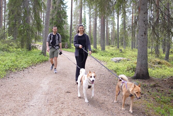 Arctic Hiking With Lappish Dogs