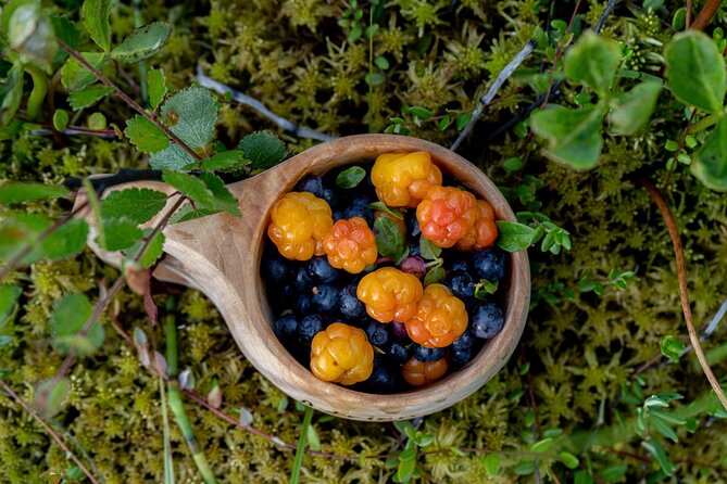 Arctic Wilderness Hike With Fire-Making