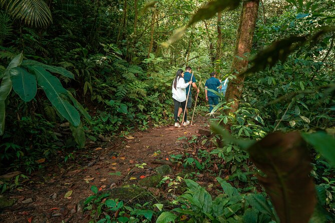 Arenal Natural Hiking Trails - Pricing and Booking
