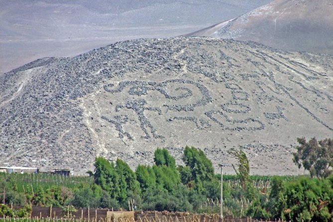 Arica: Half Day Panoramic City Tour