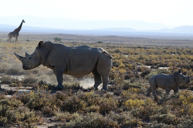 Arusha: 3Day Safari in Tarangire, Ngorongoro Crater, Lake Manyara