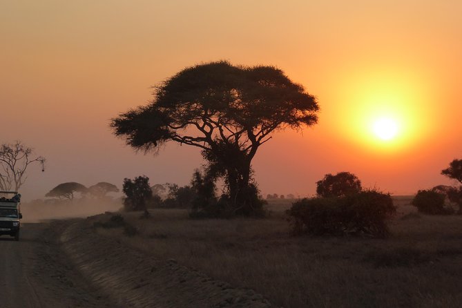 Arusha National Park Safari by Jeep