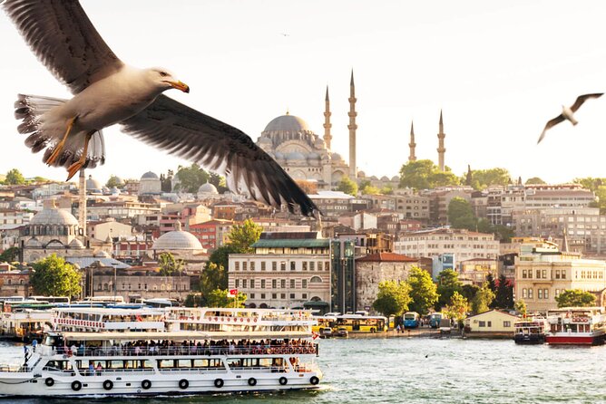 Asian Side of Istanbul Tour - Half-Day Small Group Tour - Overview of the Tour