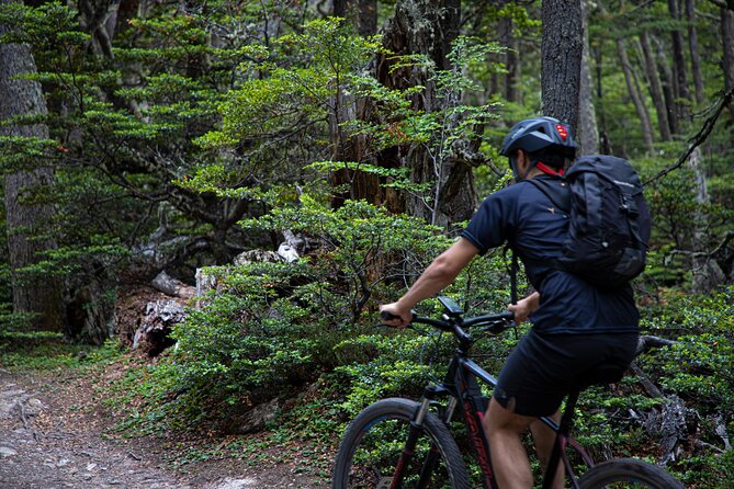 Assisted Bicycle Experience to the Beagle Channel Viewpoint