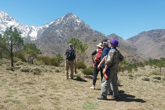 Atlas Mountains, Waterfalls and Berber Villages With a Guide - Overview of the Tour