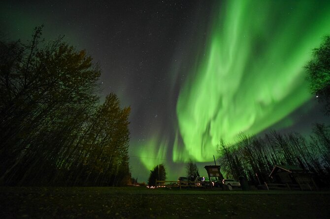 Aurora Chase With Photographer