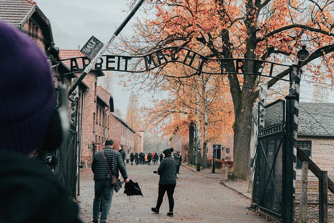 Auschwitz Birkenau Guided Tour From Krakow Private Chauffeur - Overview of the Tour
