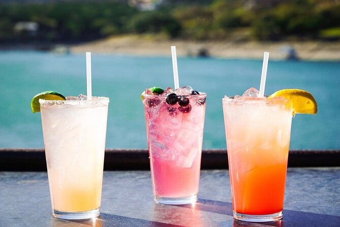 Austin Lake Travis Barge Crawl Bar Hopping Tour by Boat - Tour Highlights