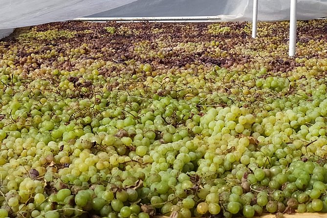 Axarquia VIP Wine Tour With Gourmet Winery Lunch Experience