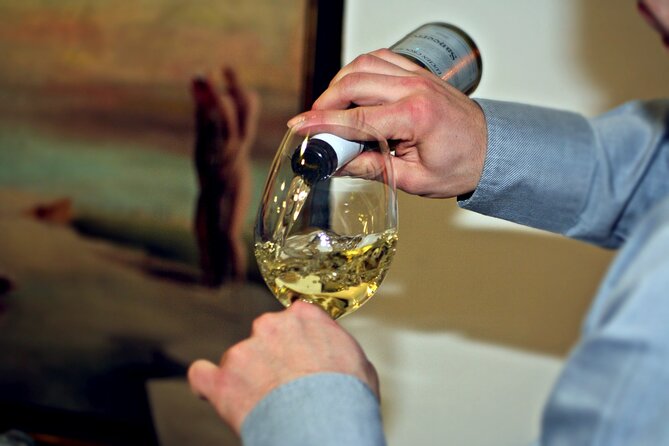 BA: Premium Argentinian Wines and Malbec Tasting in Palermo - Tour Details and Inclusions