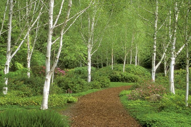 Bainbridge Island Nature Reserve Walk Review