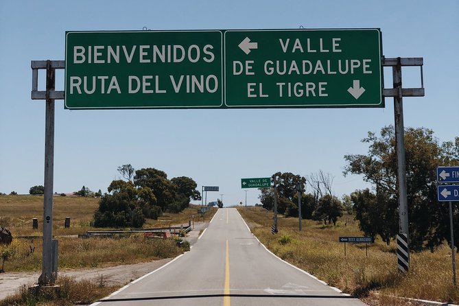 Baja Tour Guide Wine Tour