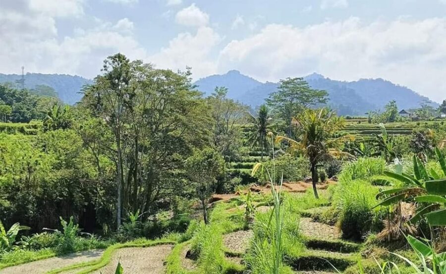 Bali: Besakih Temple and Sidemen Tour - Tour Overview