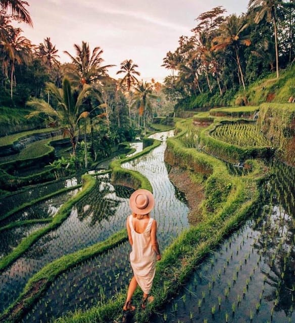 Bali: Clasic Bali Tour All Inclussive