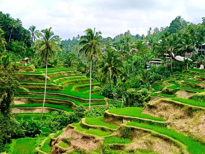 Bali: Customized Full-Day Private Tour