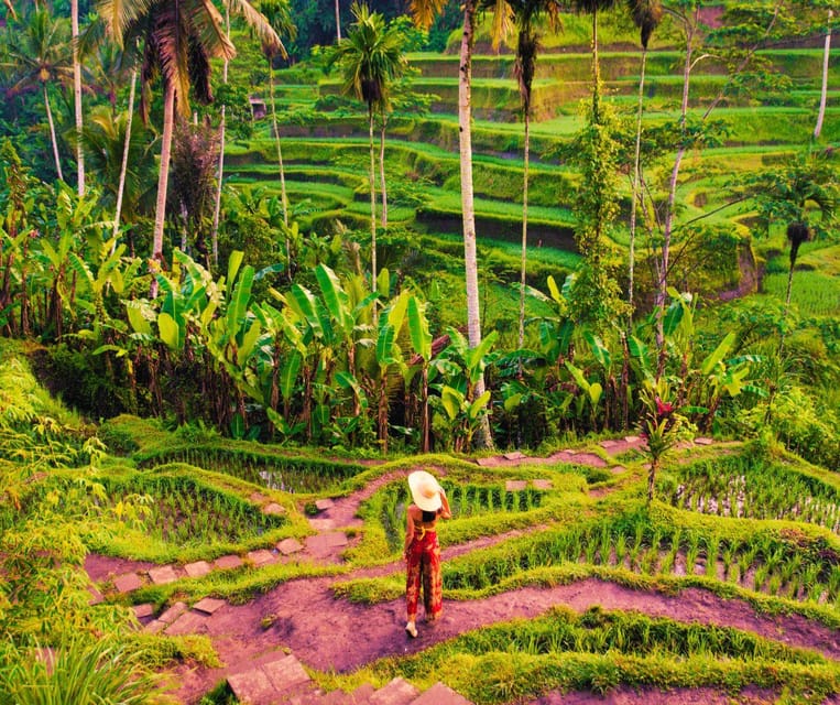 Bali: Full-Day Private Tour of Ubuds Natural Wonders