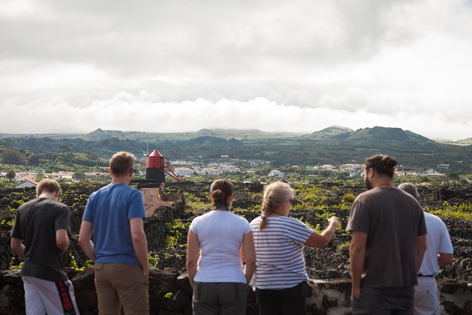 Banana Trip – Full Day Private Tour to Pico With Round Trip From Faial