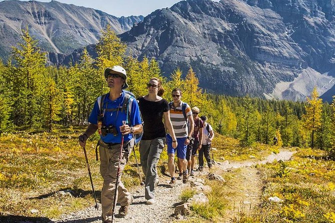 Banff National Park Guided Hike With Lunch