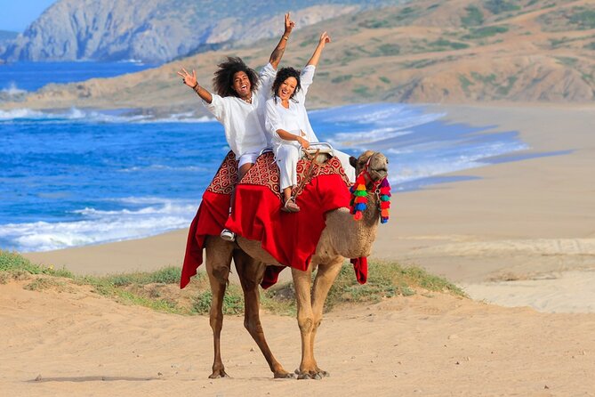 Beach Camel Ride & Encounter in Cabo by Cactus Tours Park